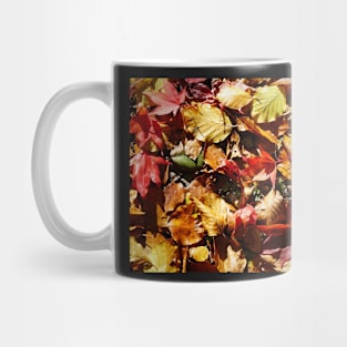 Colorful Fallen Autumn Leaves 2 - Seasons - Nature Abstract Mug